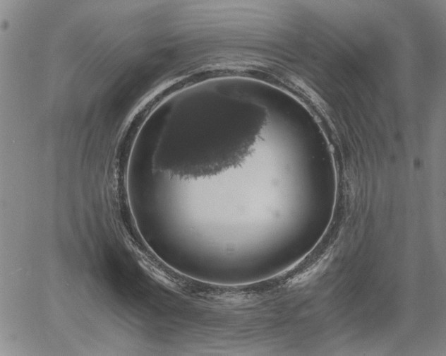 X0000058780779200510031019