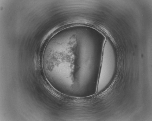 X0000058780780200510031019