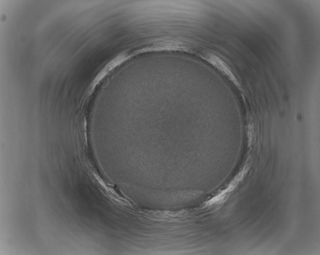 X0000058780781200510031019