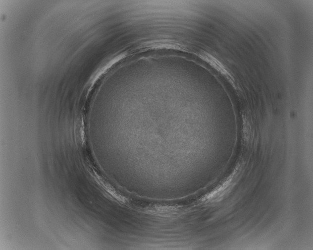 X0000058780782200510031019