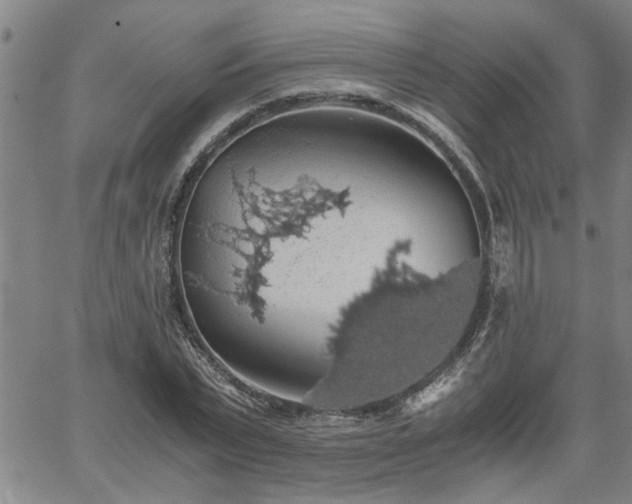 X0000058780783200510031019