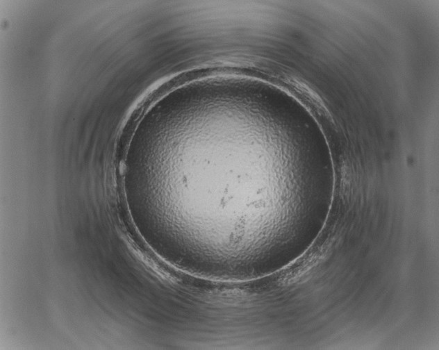 X0000058780784200510031019