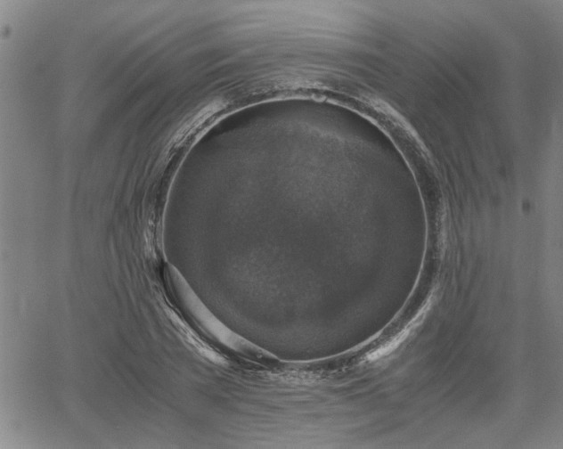 X0000058780785200510031019