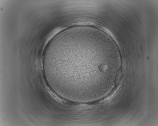 X0000058780787200510031019