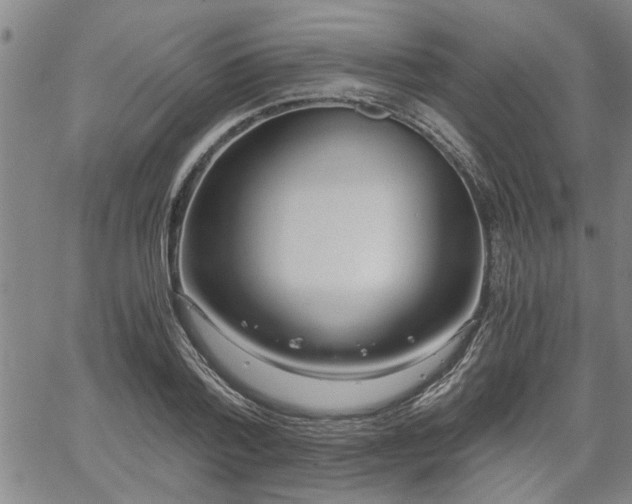 X0000058780788200510031019