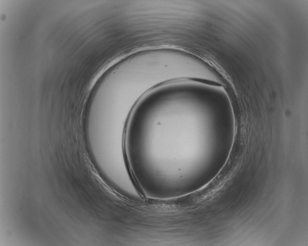 X0000058780789200510031019