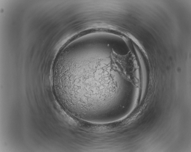 X0000058780791200510031019