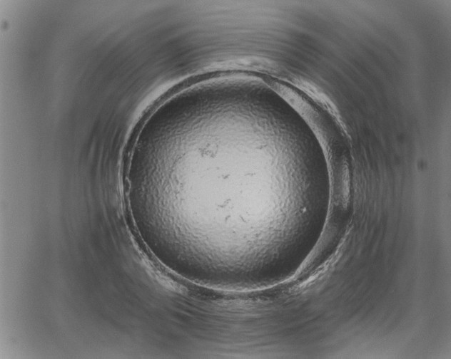 X0000058780792200510031019