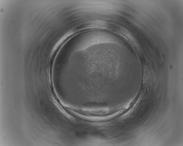 X0000058780796200510031019