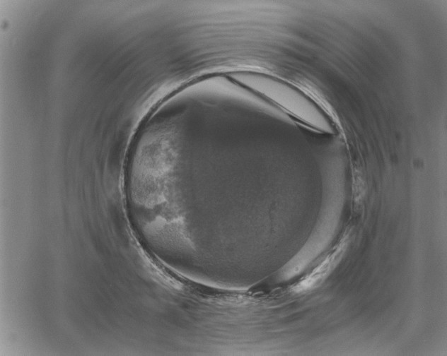 X0000058780797200510031019