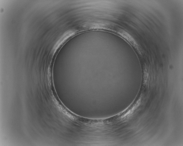 X0000058780798200510031019