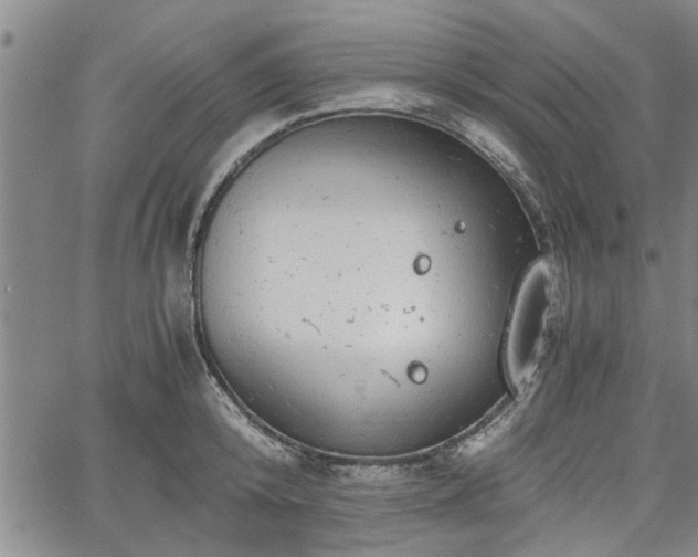 X0000058780800200510031019