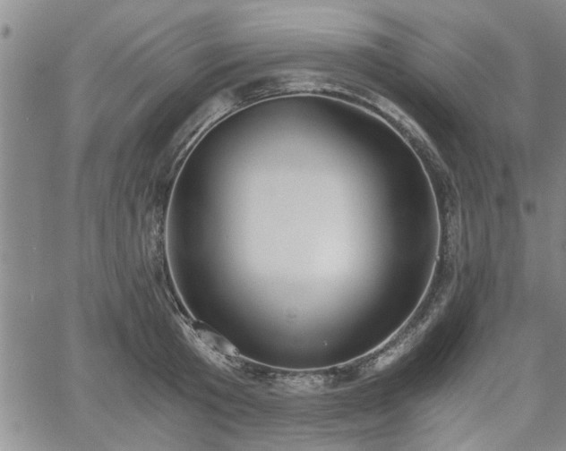 X0000058780801200510031019