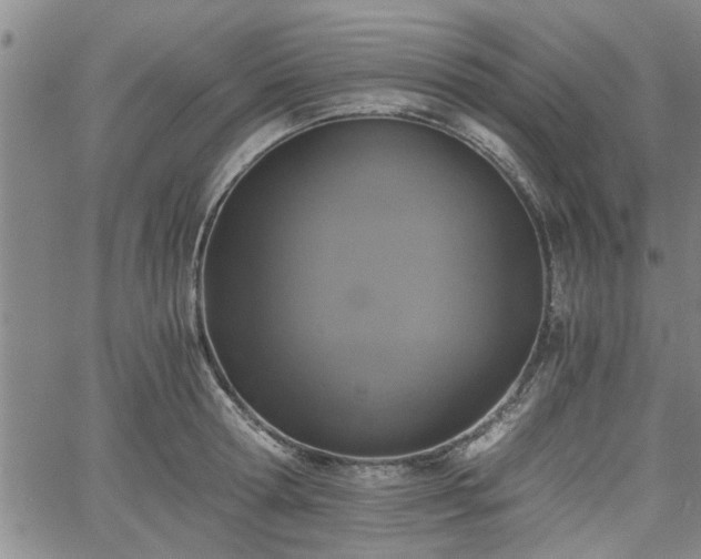 X0000058780802200510031018