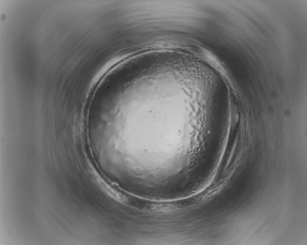 X0000058780803200510031018