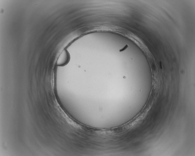 X0000058780804200510031018