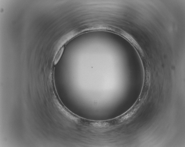 X0000058780805200510031018