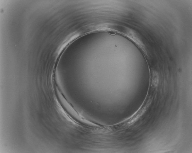 X0000058780806200510031018