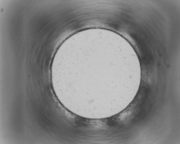 X0000058780807200510031018