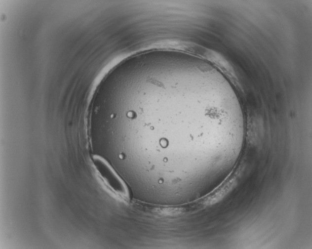 X0000058780808200510031018