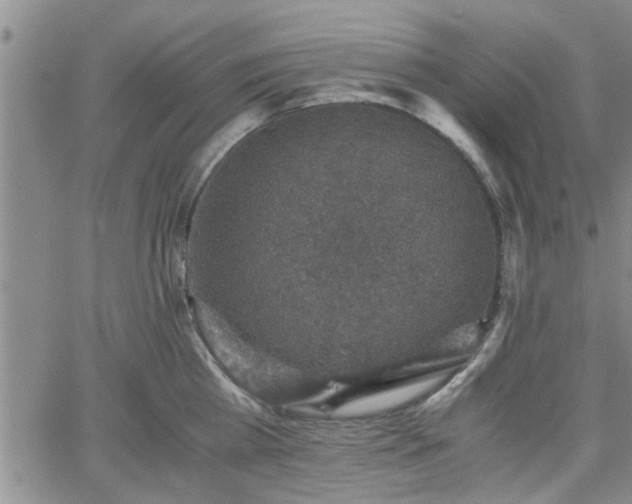 X0000058780809200510031018