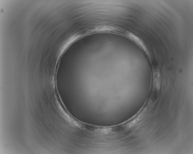 X0000058780810200510031018