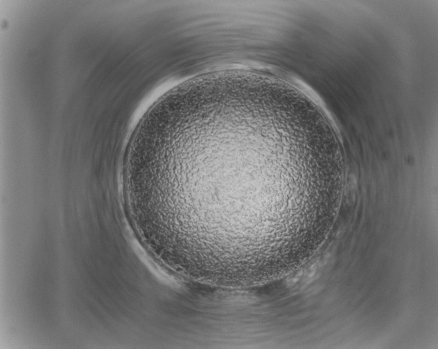 X0000058780811200510031018