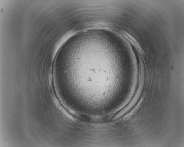 X0000058780812200510031018