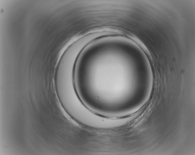 X0000058780813200510031018