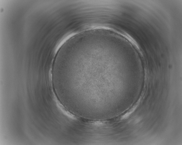 X0000058780814200510031018