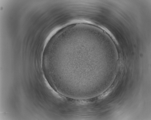 X0000058780815200510031018