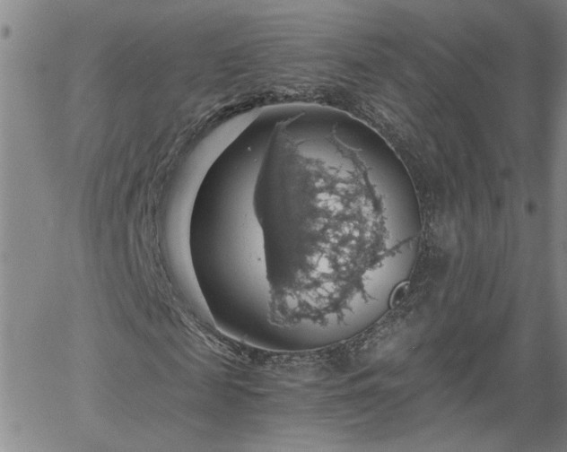 X0000058780817200510031017