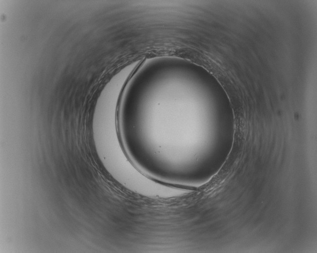 X0000058780818200510031017