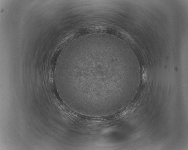 X0000058780819200510031017