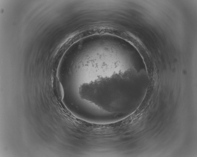 X0000058780823200510031018