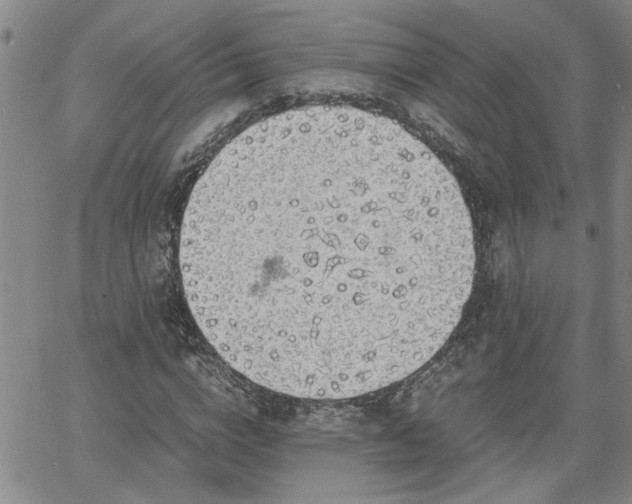 X0000058780824200510031018