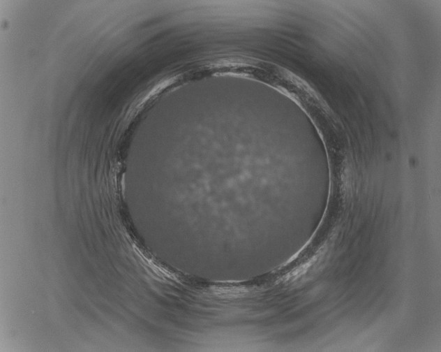 X0000058780825200510031018