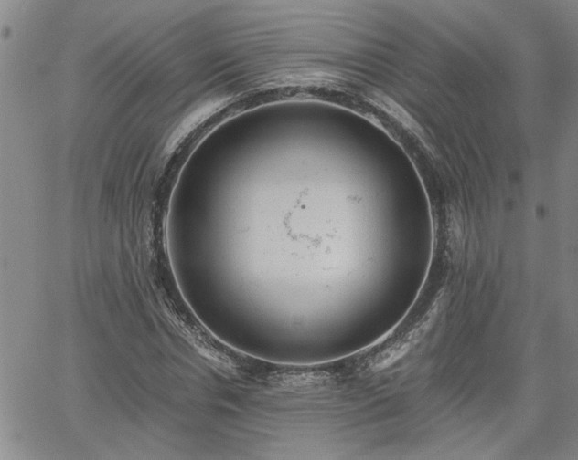 X0000058780826200510031018