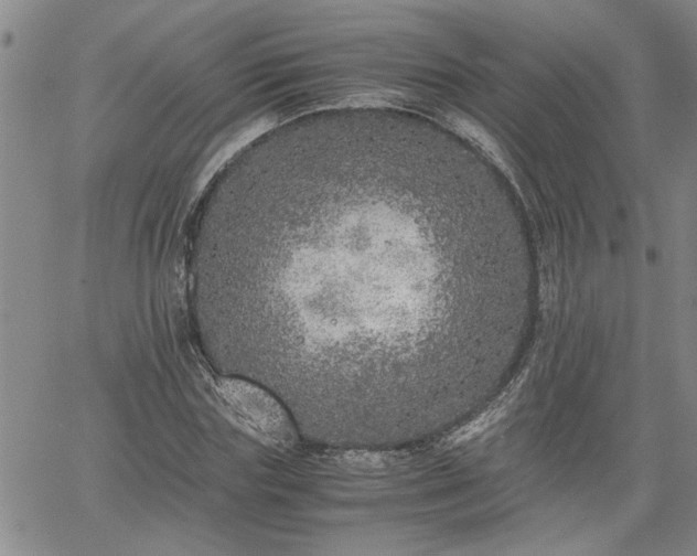 X0000058780827200510031018