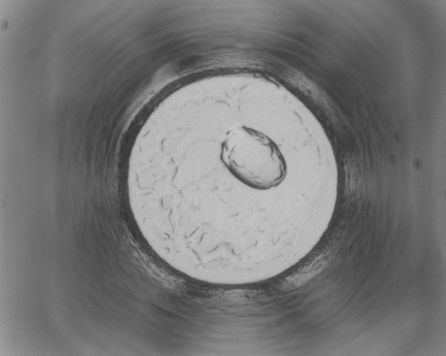 X0000058780828200510031018