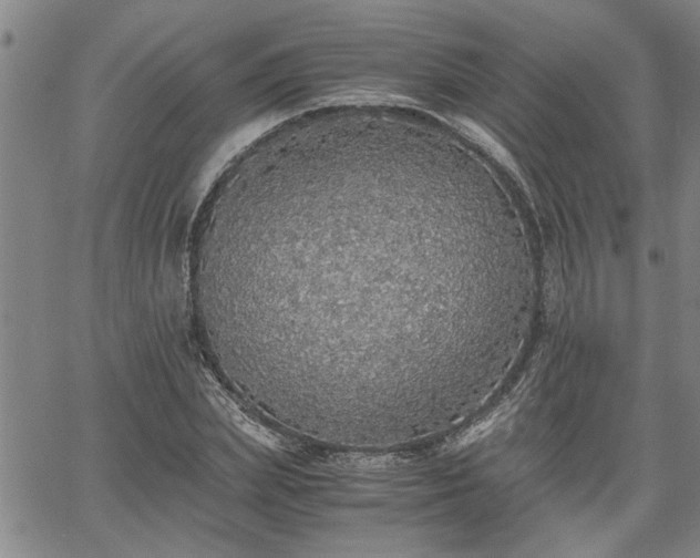 X0000058780831200510031018