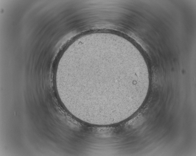 X0000058780832200510031018