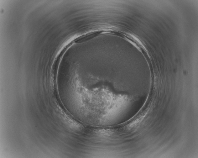 X0000058780835200510031018