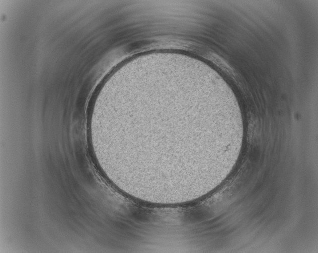 X0000058780836200510031018