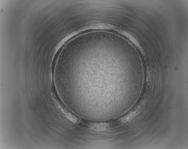 X0000058780837200510031018