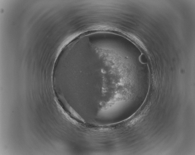 X0000058780839200510031018