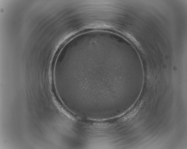 X0000058780840200510031018