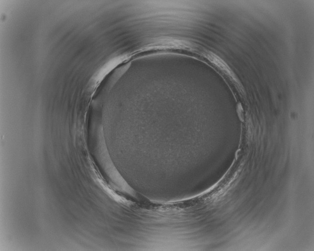 X0000058780842200510031018