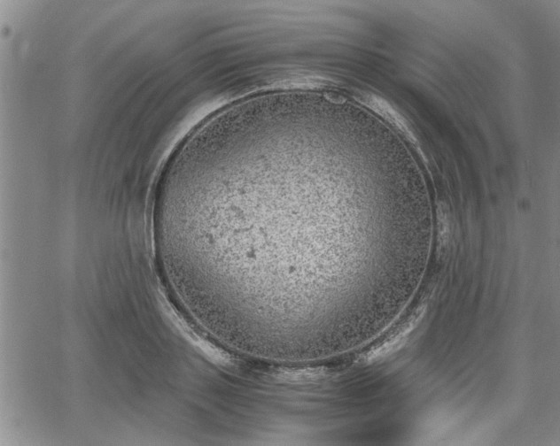 X0000058780843200510031018