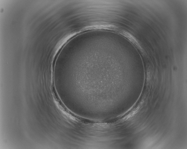 X0000058780844200510031018